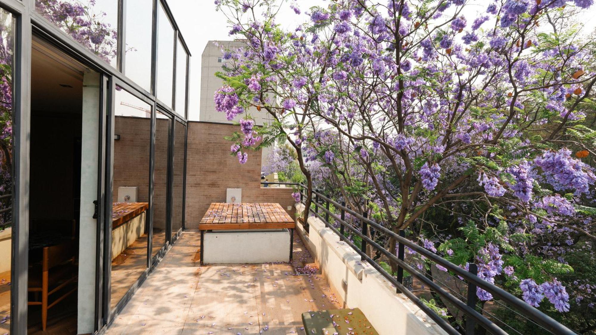 Rodona Hotel Мехико Экстерьер фото
